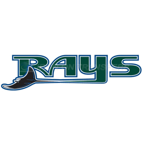 Tampa Bay Rays Iron-on Stickers (Heat Transfers)NO.1952